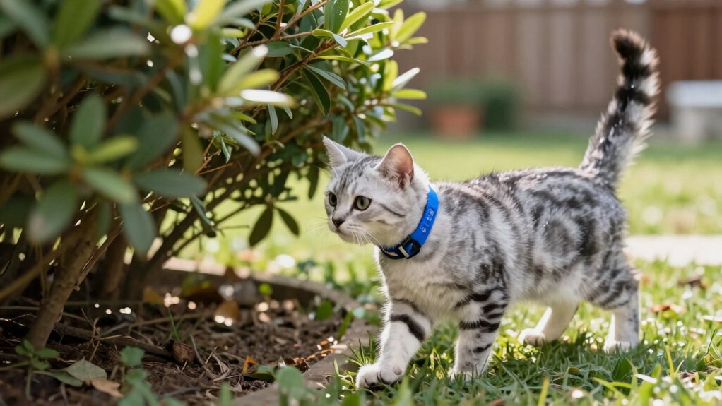 safety and durability