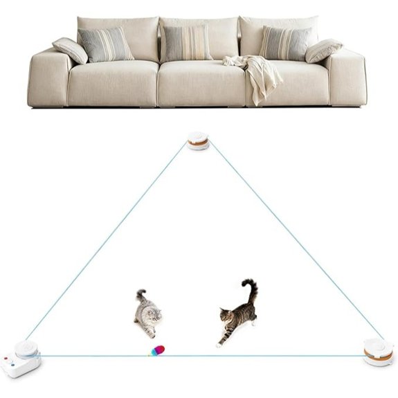 Interactive Cat Toy with Auto/Manual Control (H1K2)