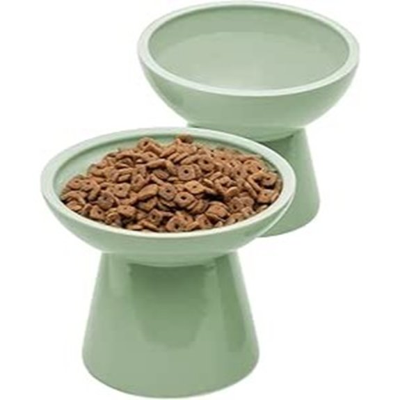2 Elevated Ceramic Cat Bowls Whisker Fatigue Relief