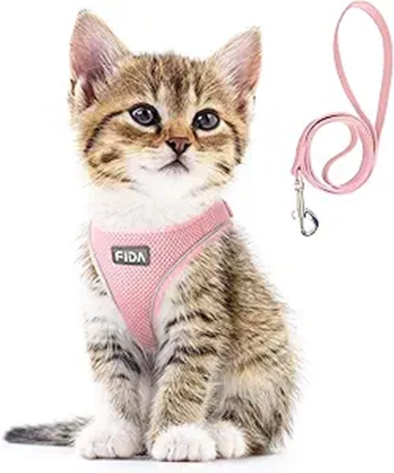 Fida Escape-Proof Cat Harness and Leash Set (Pink)