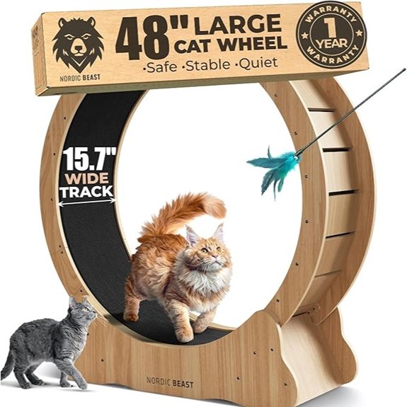 Walnut Wood 48 XL Cat Wheel for Indoor Cats