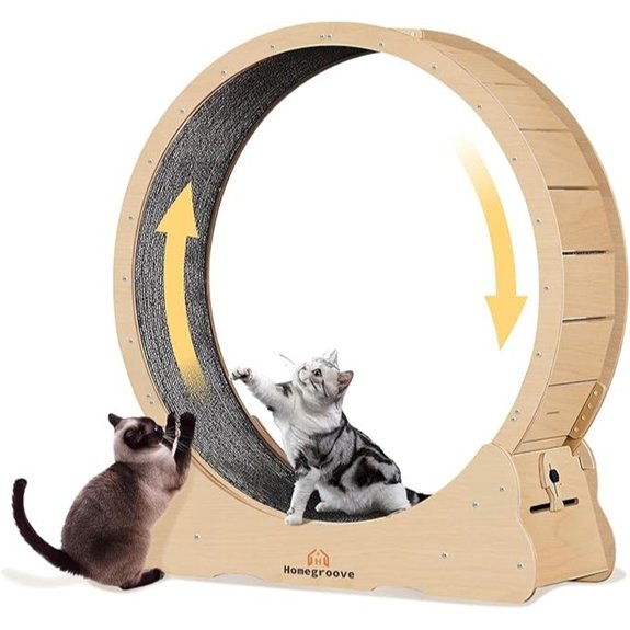 Homegroove 35.4-Inch Indoor Cat Exercise Wheel