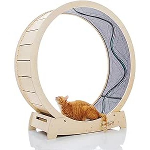 Star Cat Exercise Wheel for Indoor Cats