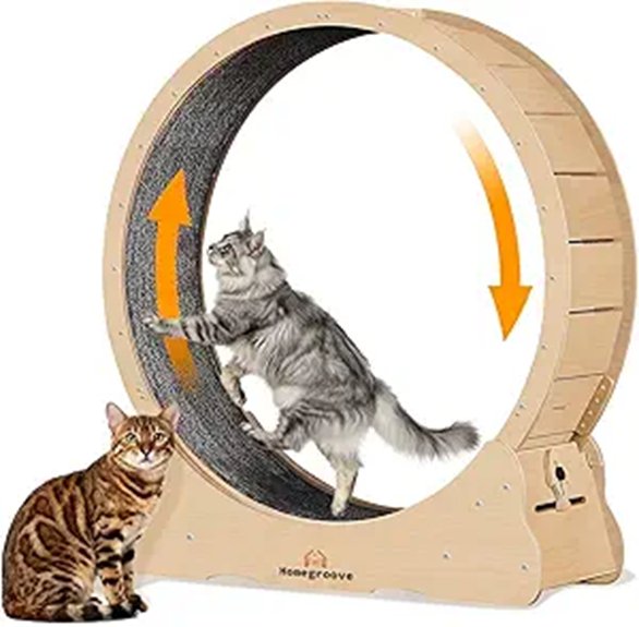 Homegroove XXL Cat Wheel for Large Cats