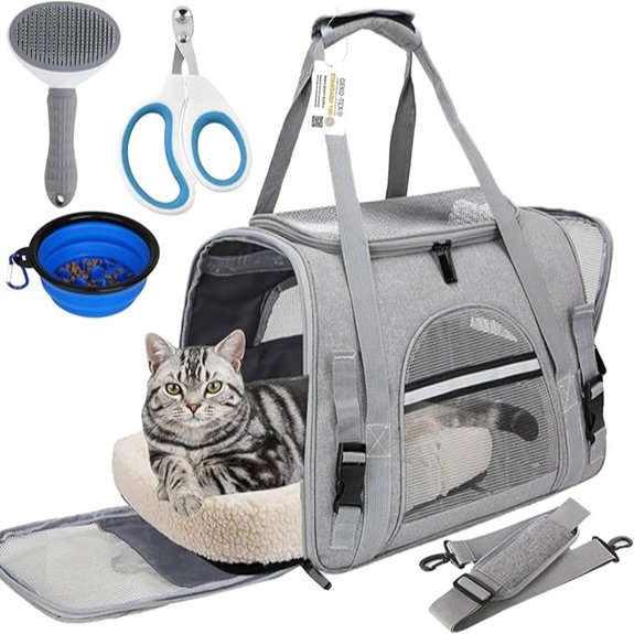 Airline-Approved Pet Carrier Bag for Cats and Dogs