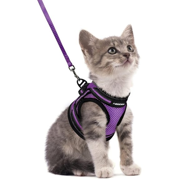 Rabbitgoo Escape-Proof Cat Harness and Leash Set