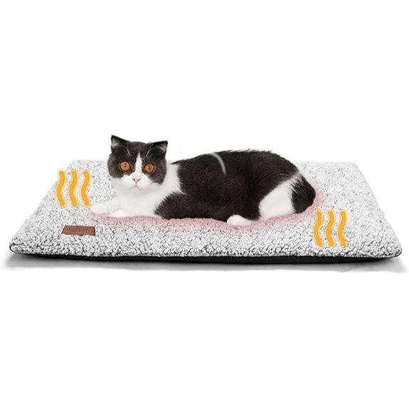 Self-Warming Cat Bed with Removable Cover