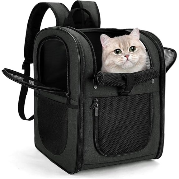Apollo Walker Ventilated Pet Carrier Backpack (4-18 lb)